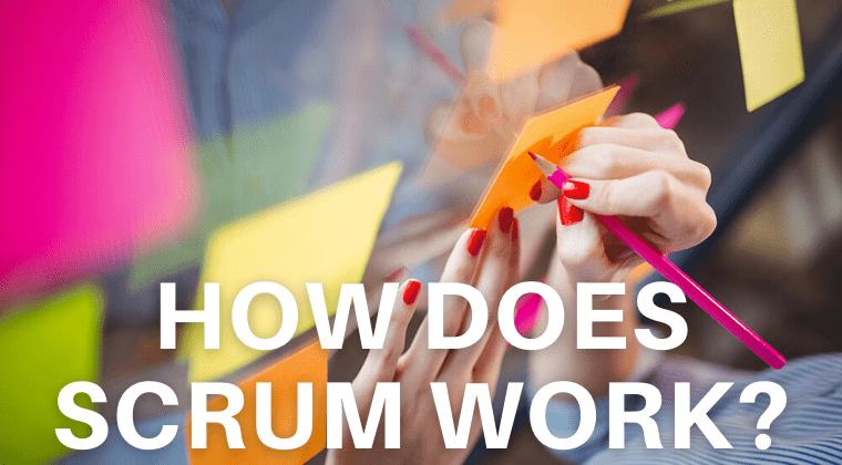 How does Scrum work