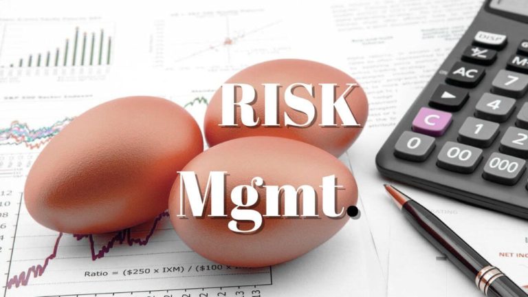 Image introducing the fundamentals of Introduction to Risk Management