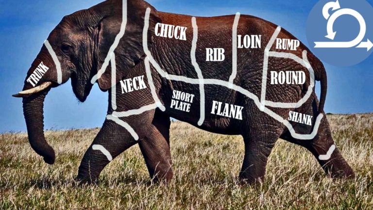 How to Eat the Elephant Using Scrum